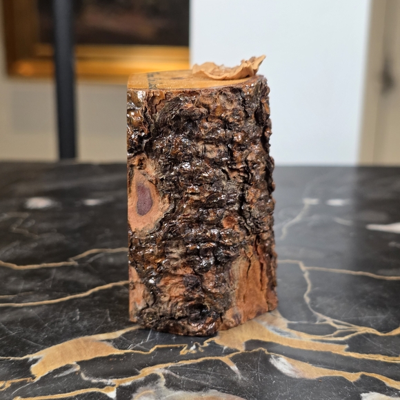 Vintage Wood Log Bark Salt Shaker "You're Nuts" Souvenir Plevna Ontario Canada - Picture 4 of 10